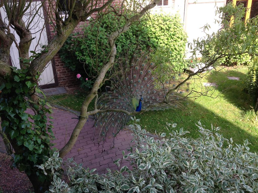 La Cense Des 6 Sens Bed & Breakfast Beugny Exterior photo